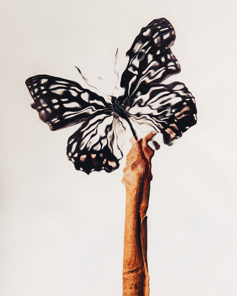 BAD DREAM - CGS Labs