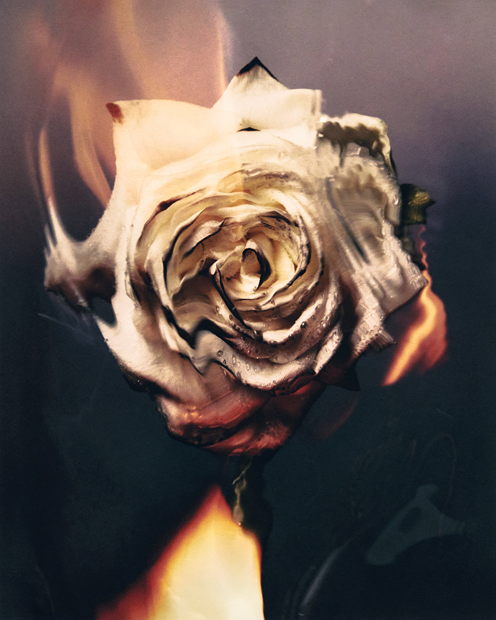 Coexistance Candle - CGS Labs