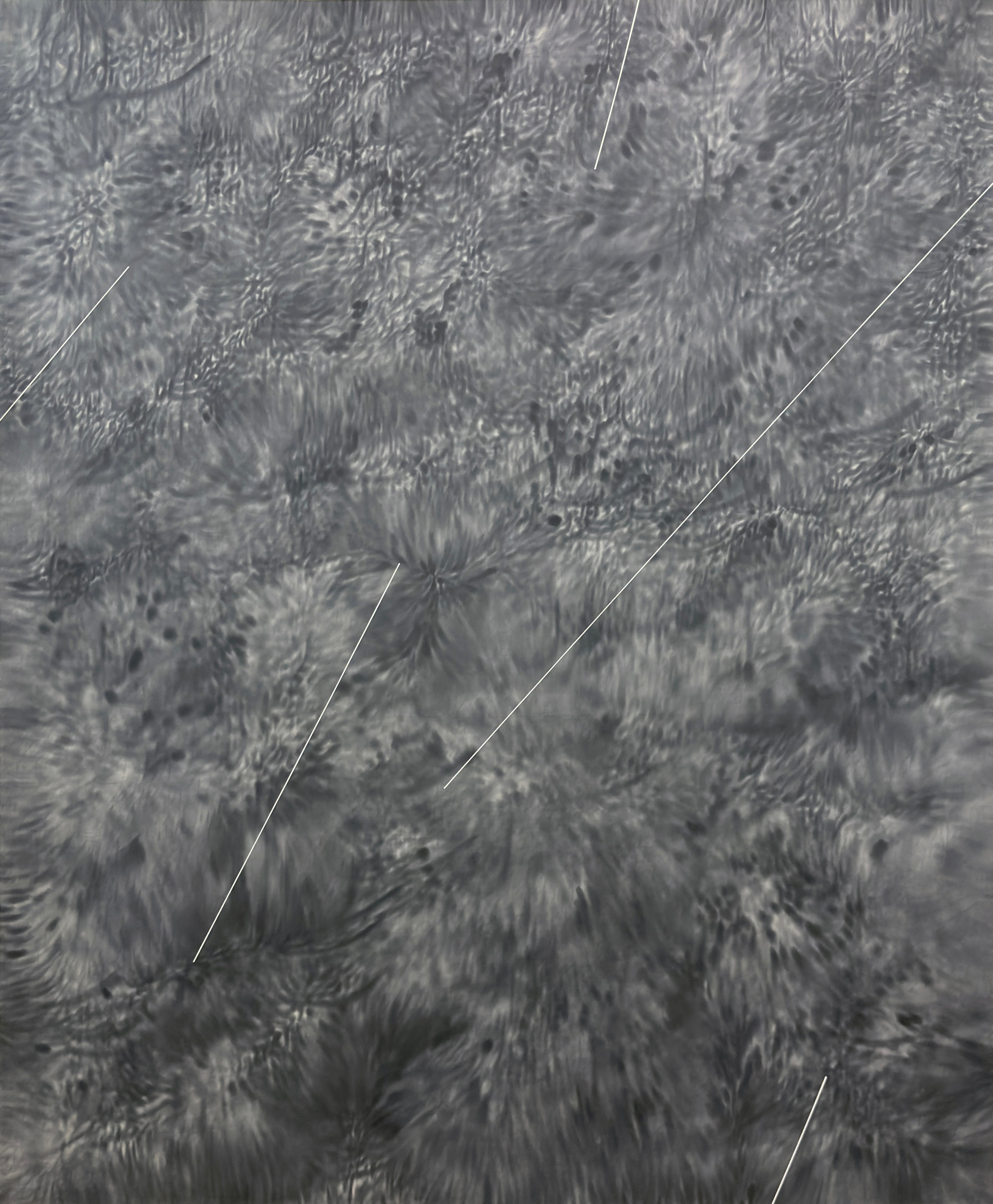 In Praise of Mystery