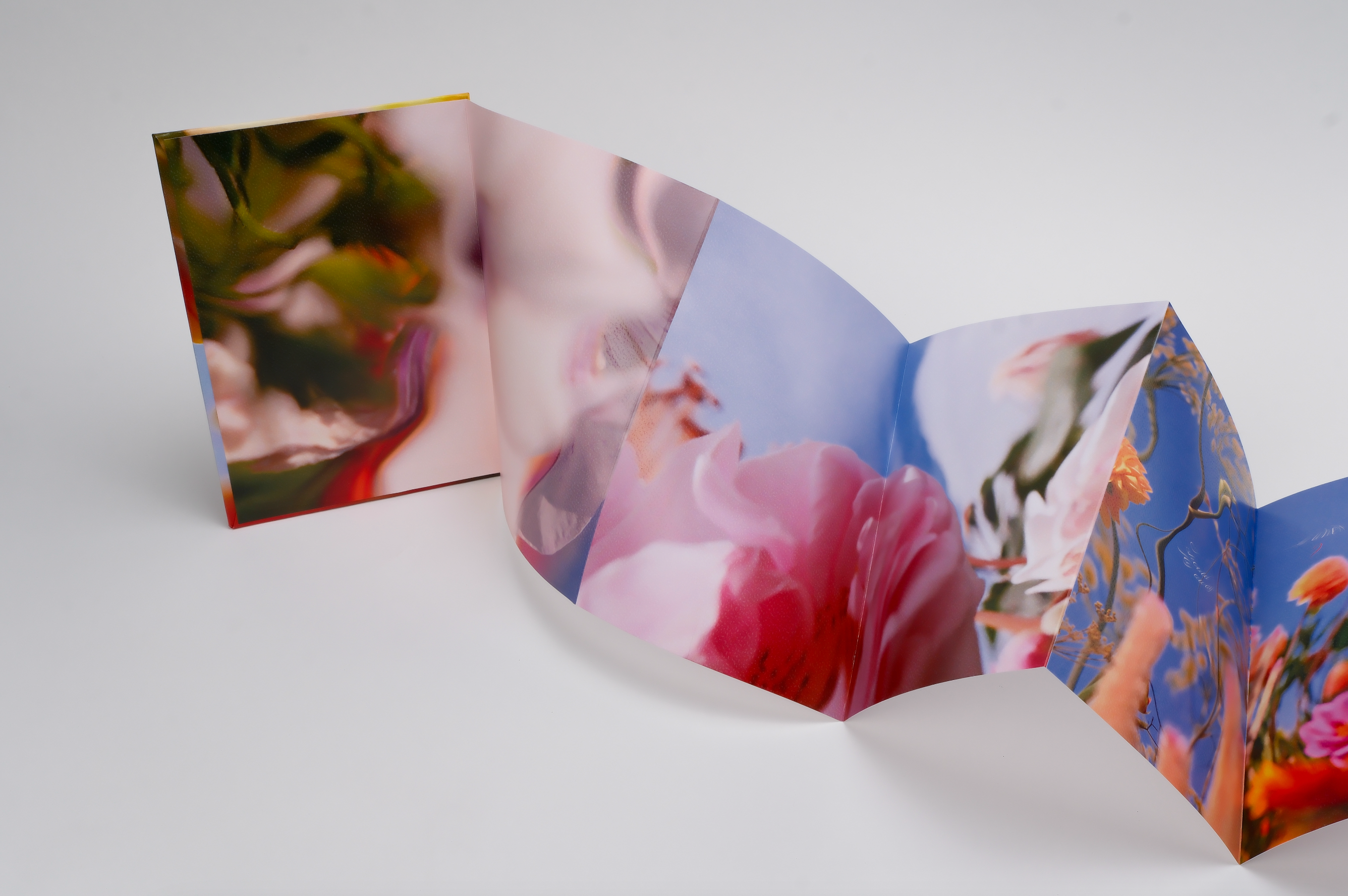 Les fleurs du passé (朝花夕拾) - Bella Luo