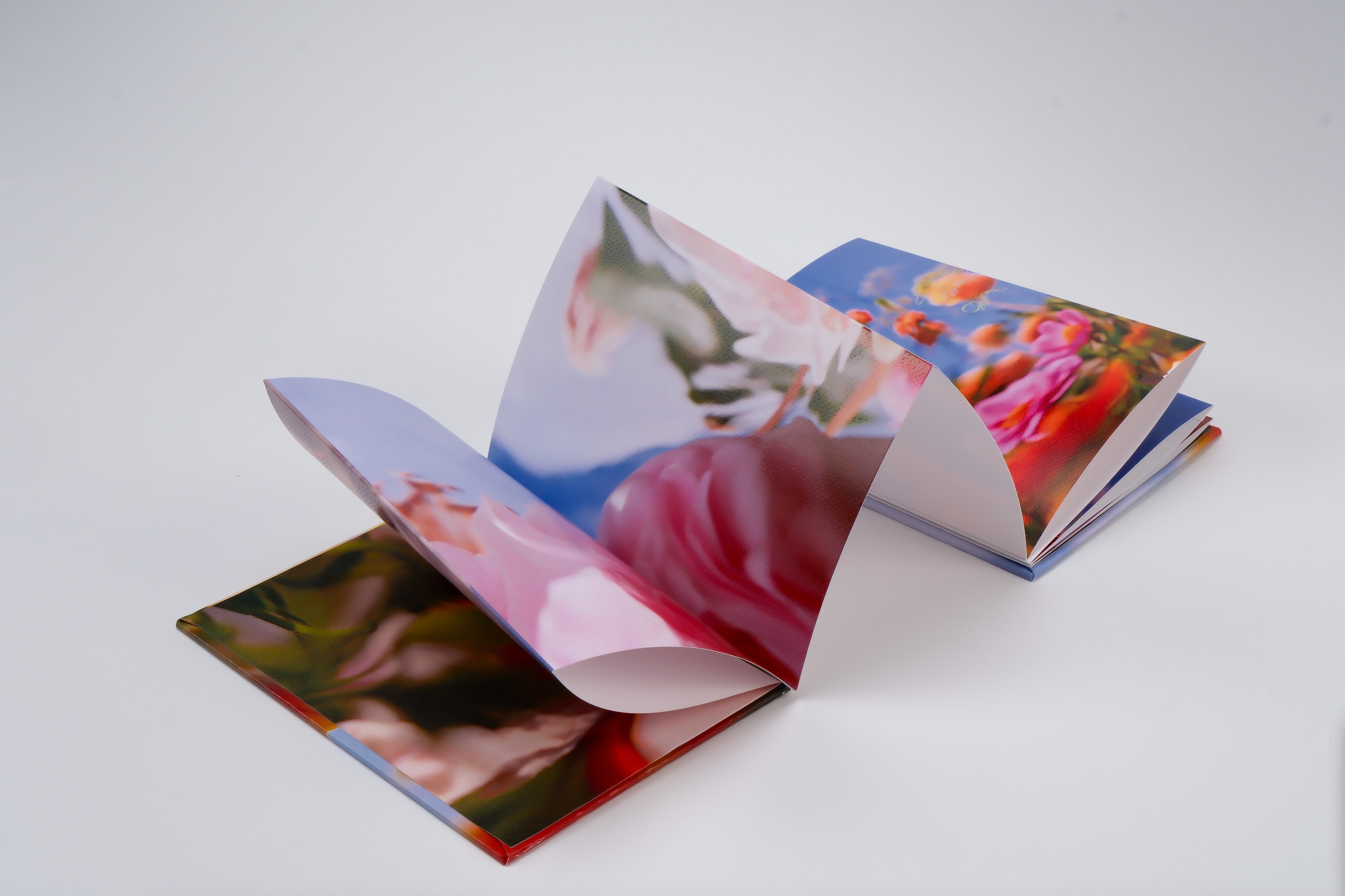 Les fleurs du passé (朝花夕拾) - Bella Luo