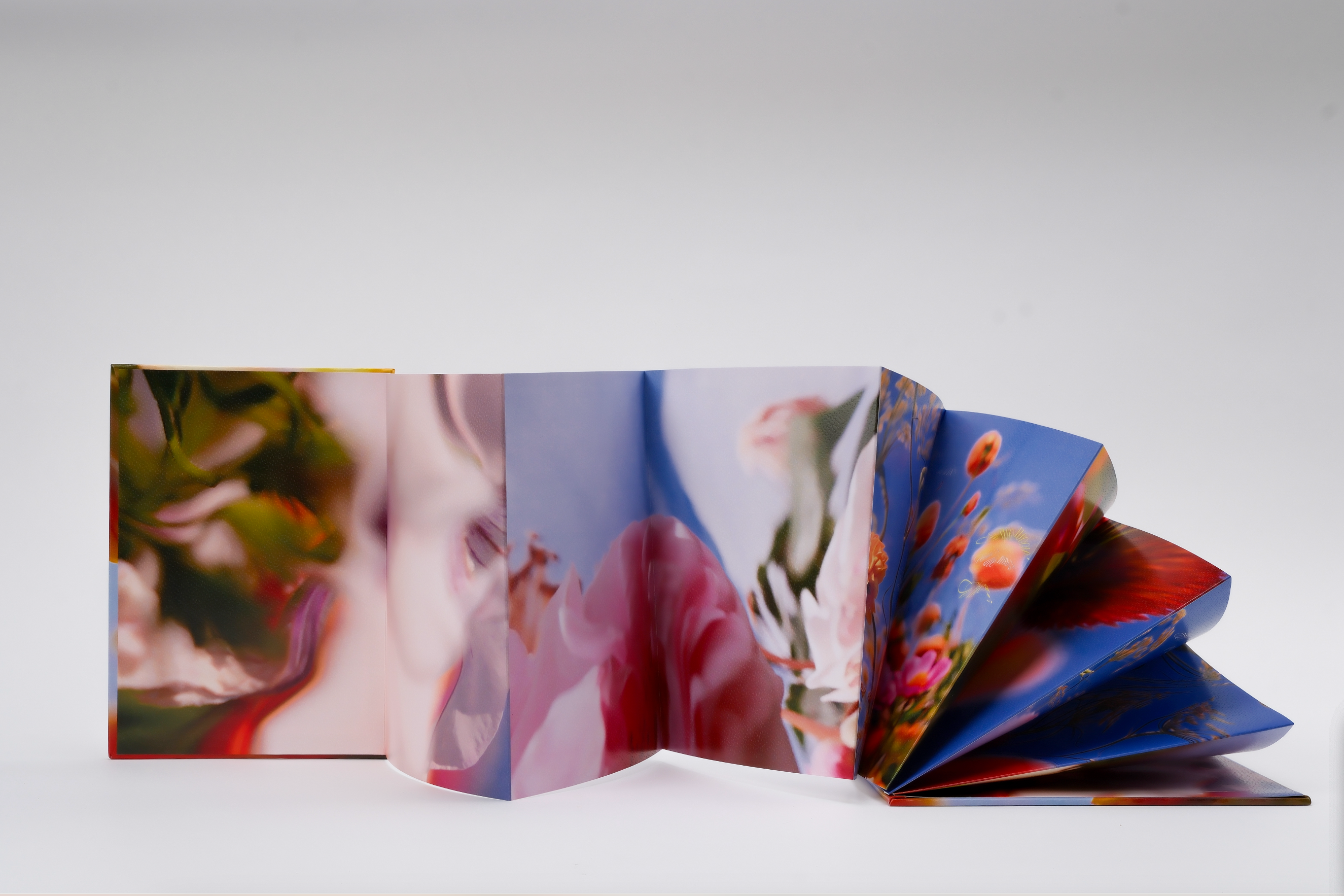 Les fleurs du passé (朝花夕拾) - Bella Luo