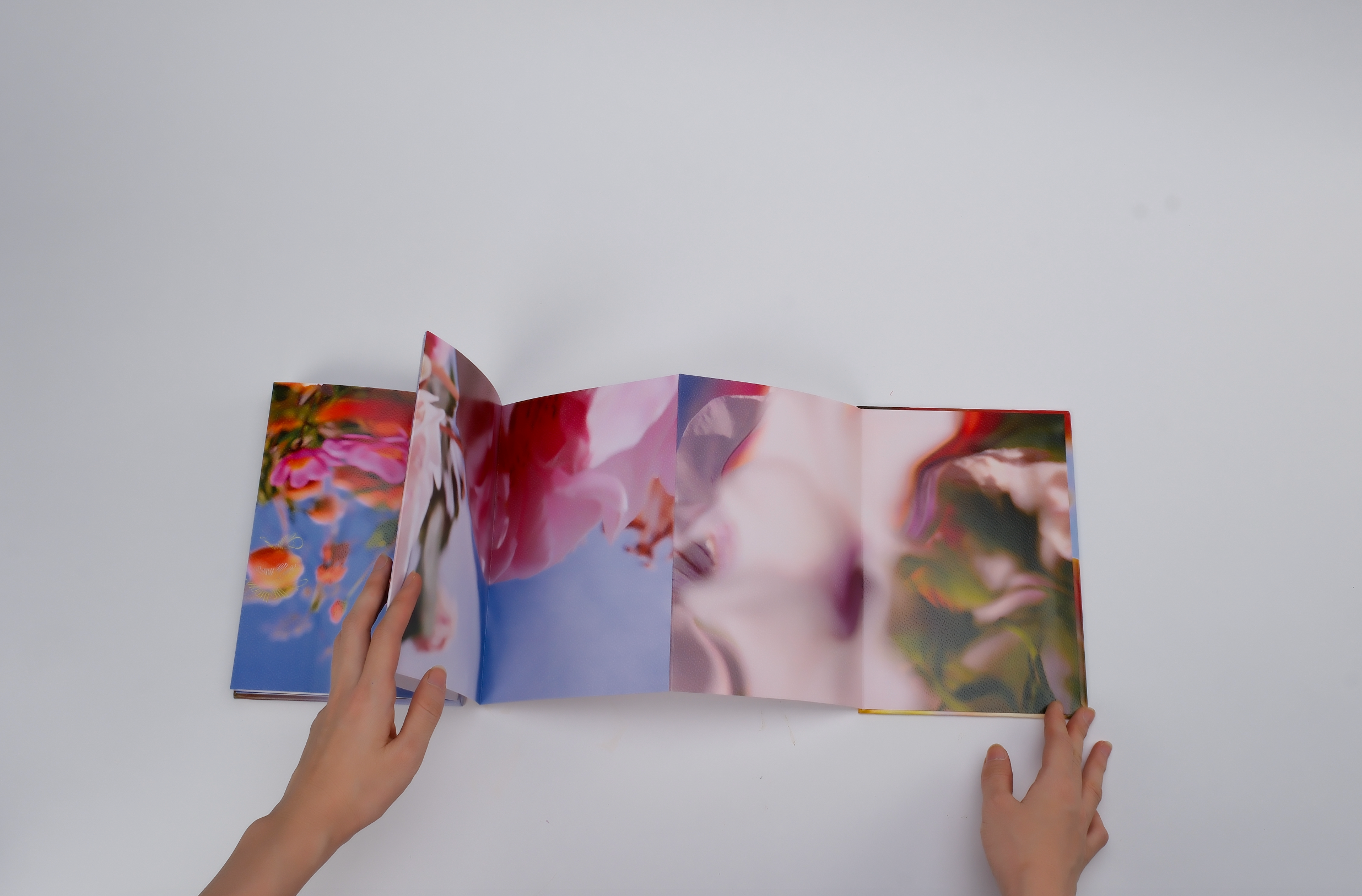 Les fleurs du passé (朝花夕拾) - Bella Luo