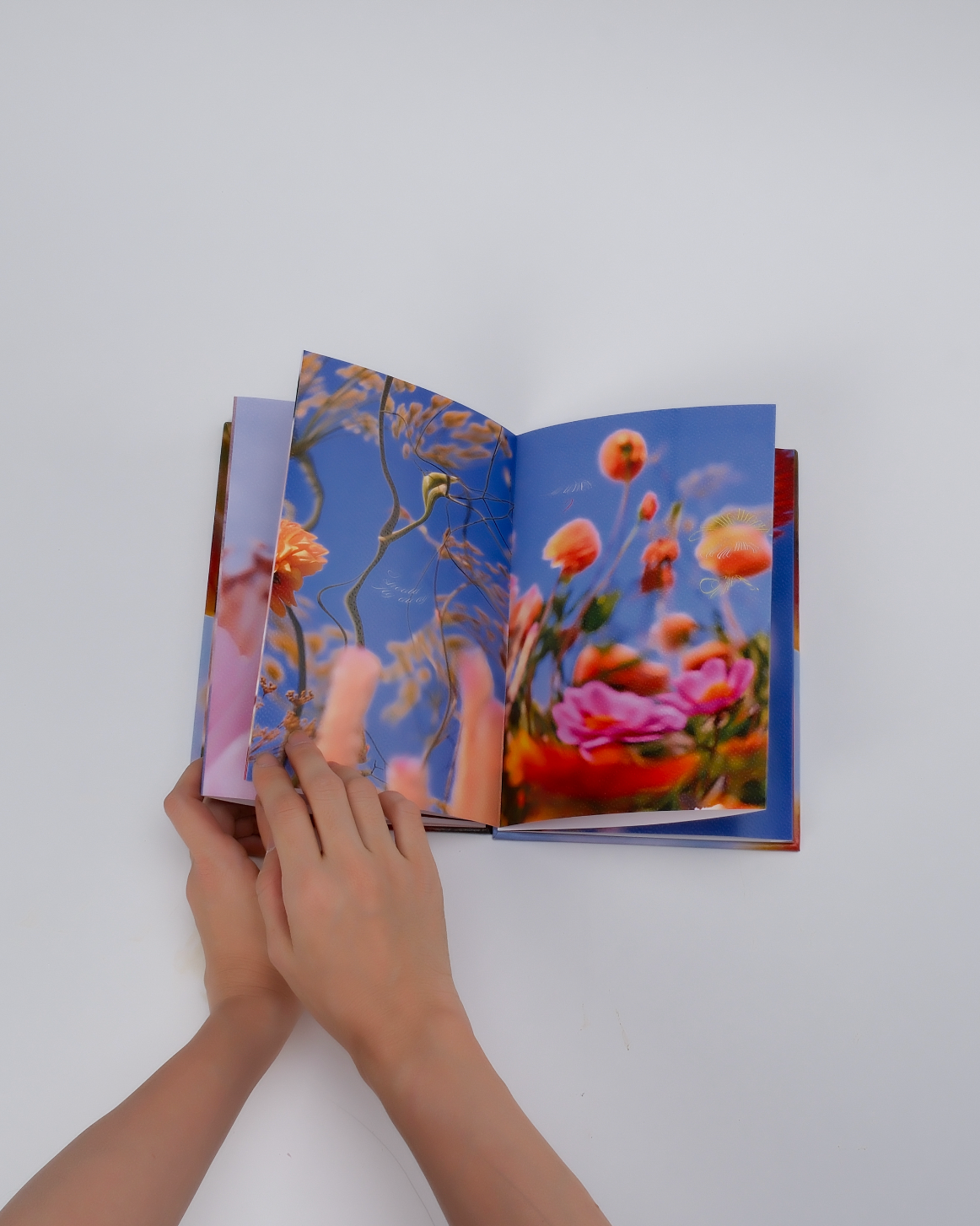 Les fleurs du passé (朝花夕拾) - Bella Luo