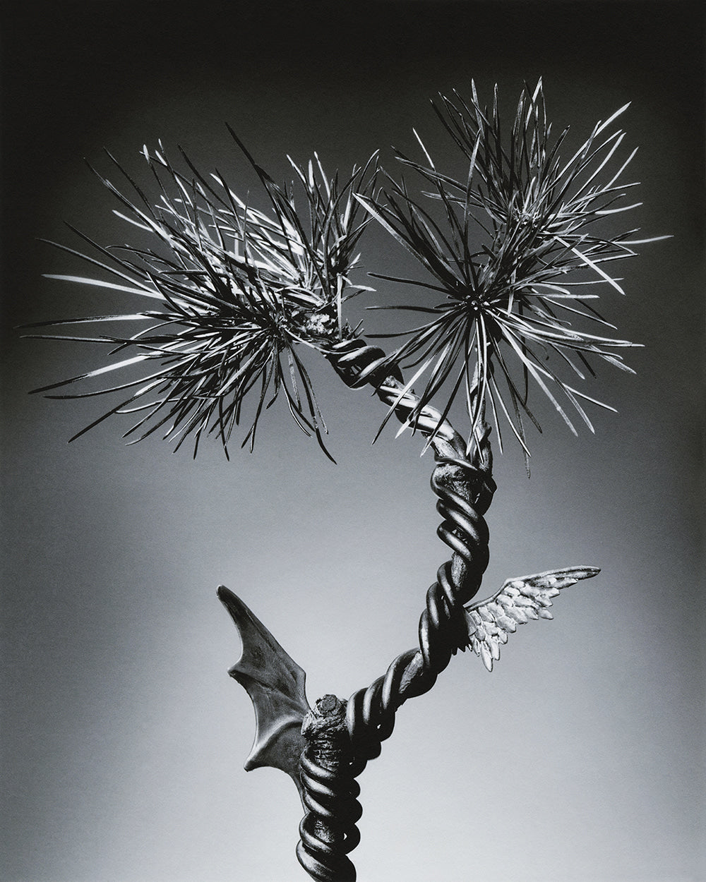 LOVE & HATE - CGS Labs