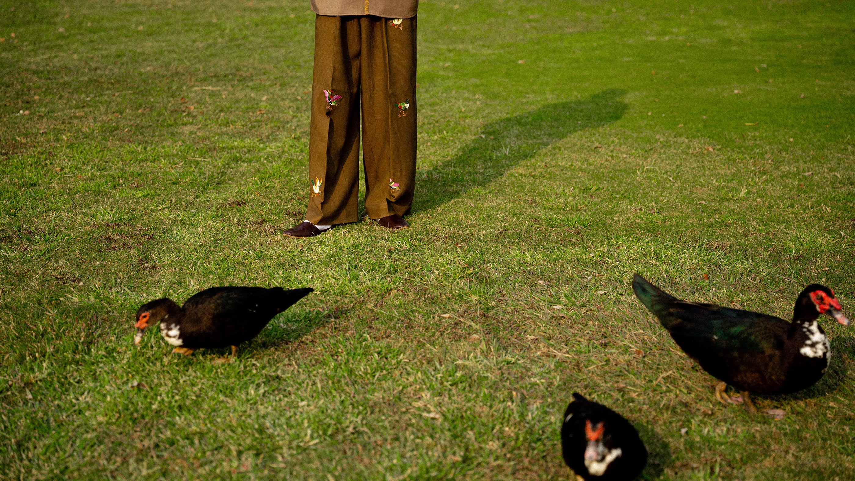 Imaginary Birds Wool Pants
