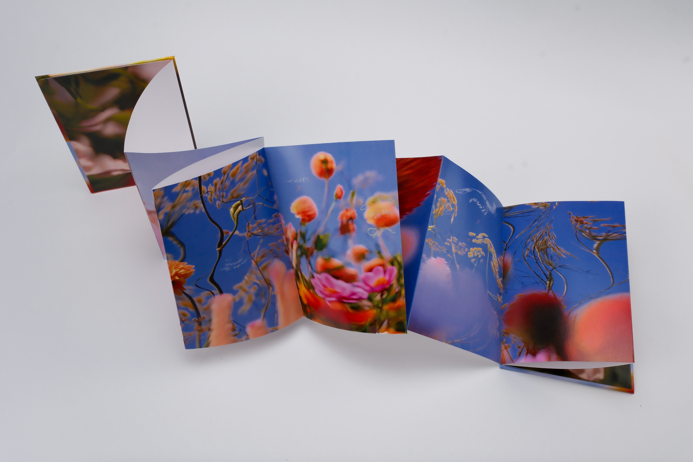 Les fleurs du passé (朝花夕拾) - Bella Luo