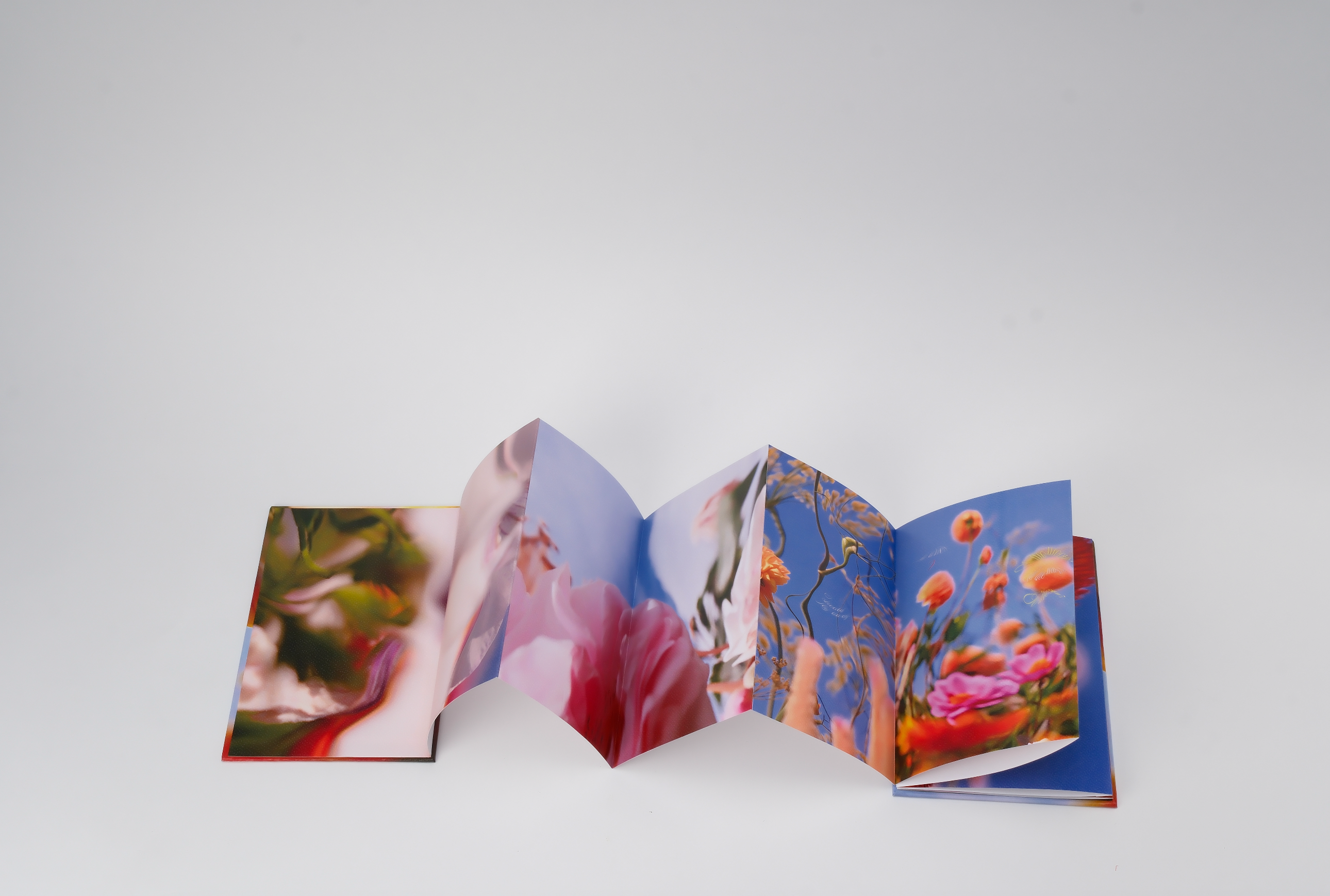 Les fleurs du passé (朝花夕拾) - Bella Luo