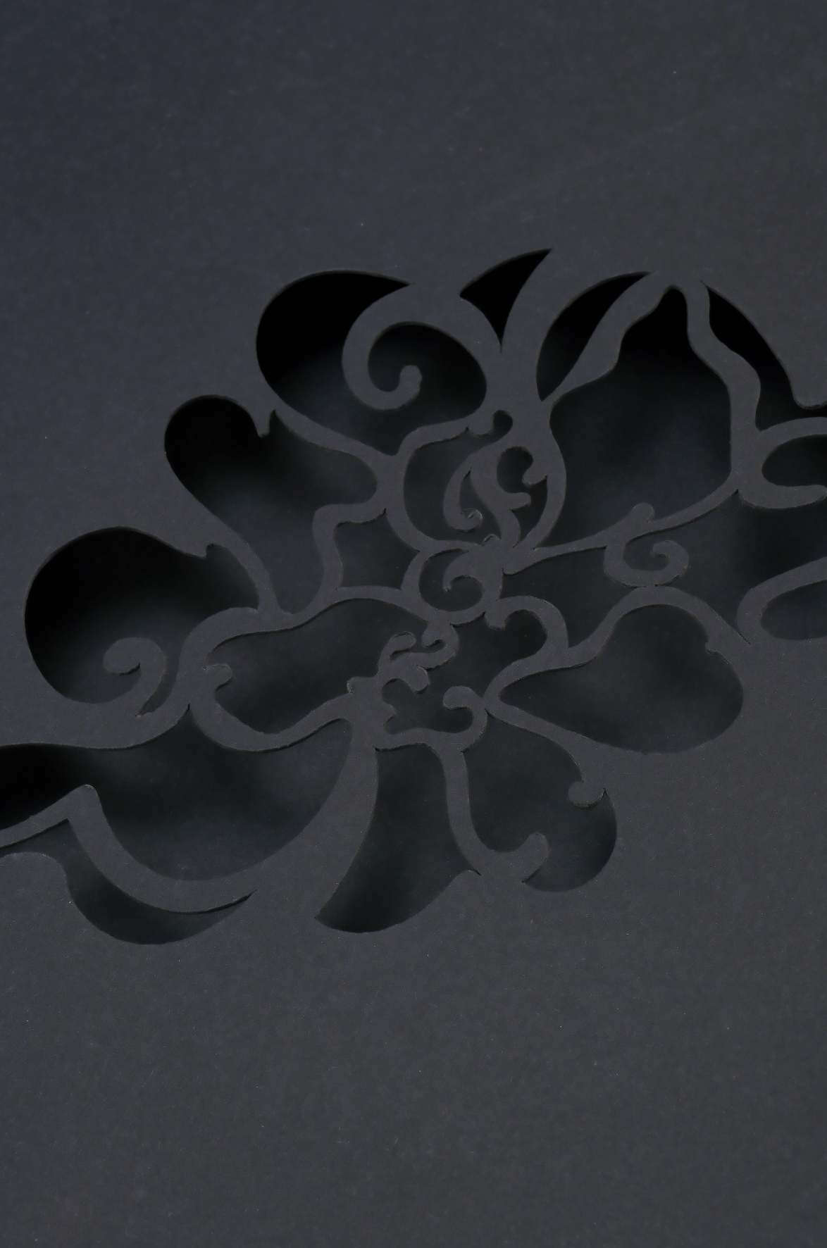 Les fleurs du passé (朝花夕拾) - Bella Luo