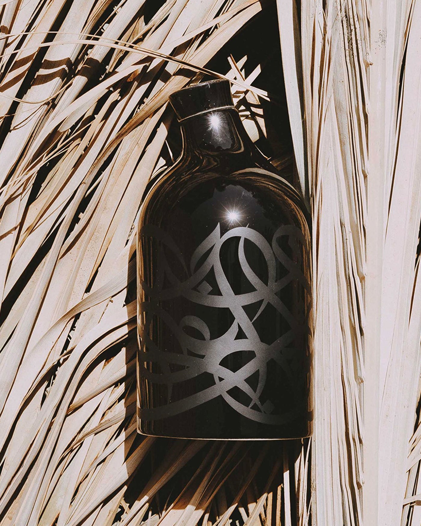 Tacapae Olive Oil