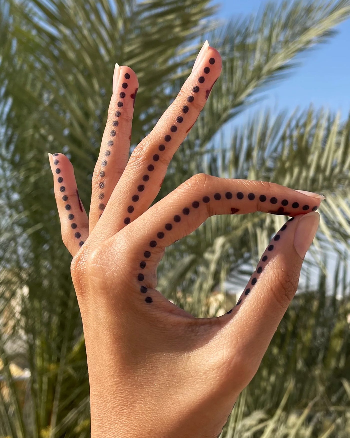 Foundations Henna Stencil Set