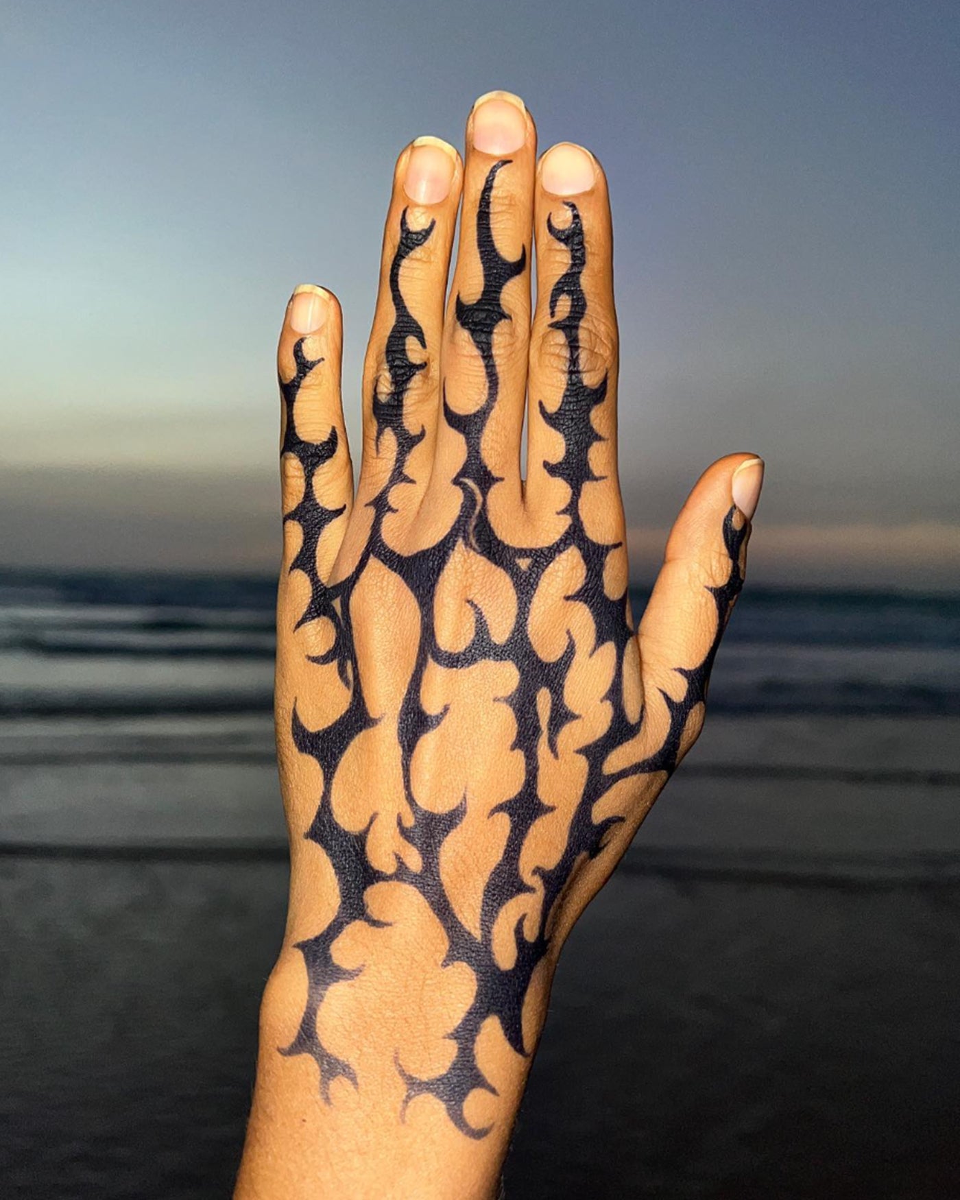Organic Henna Cones
