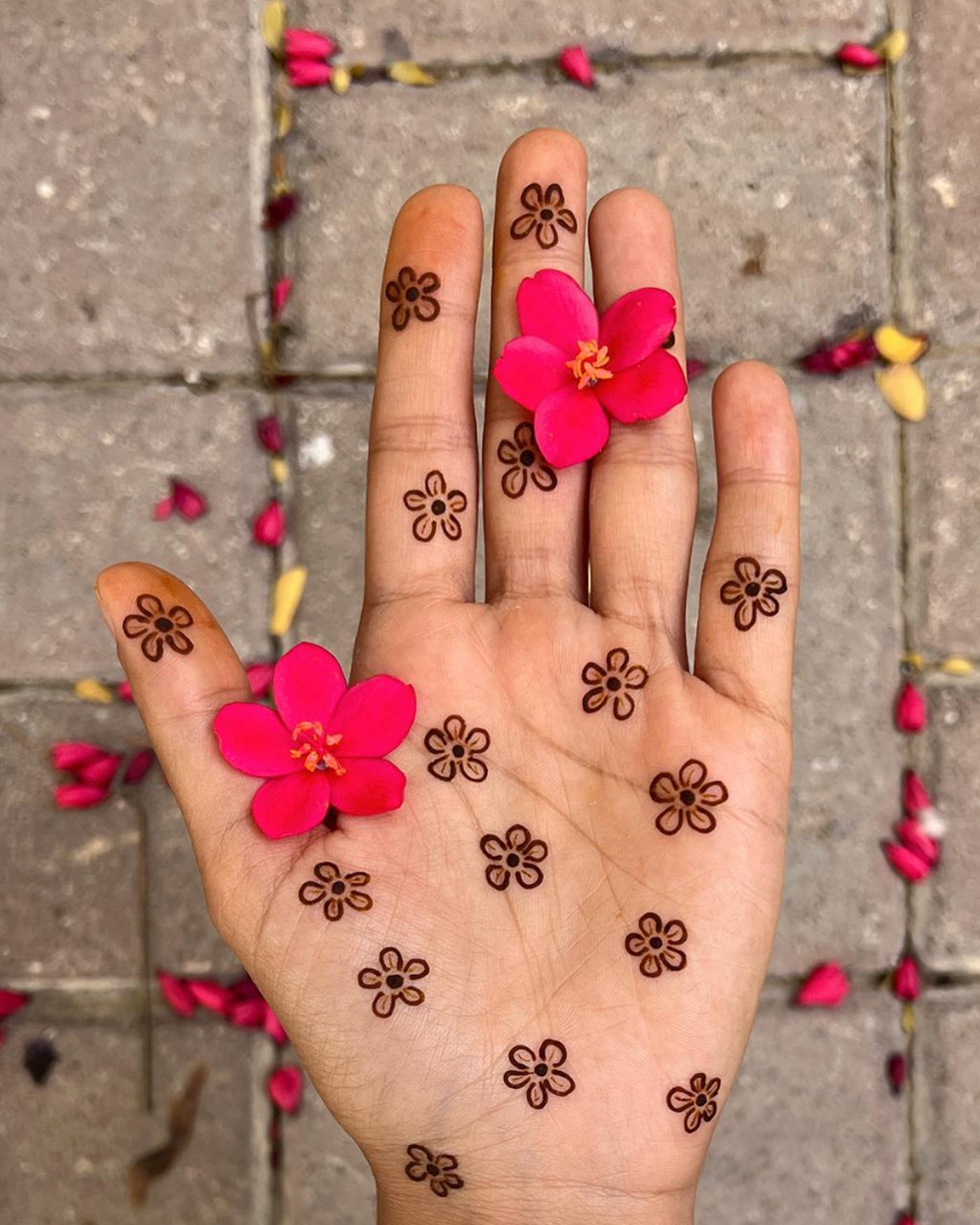 Organic Henna Cones